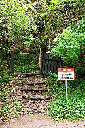 Bill Mortley Photography_The Globe_June 27th, 2023_The path leading to the Gros Piton- BMP-1757