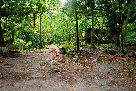 Bill Mortley Photography_The Globe_June 27th, 2023_Path leading to the project - BMP-1745
