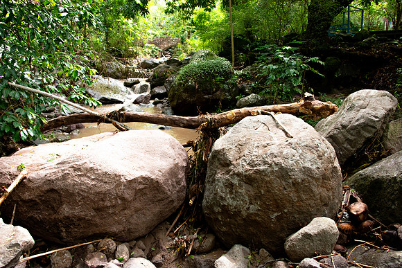 Bill Mortley Photography_The Globe_June 27th, 2023_The point at which the river was diverted - BMP-1753