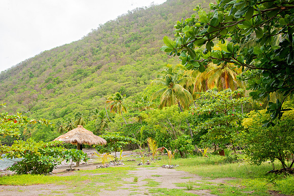 Bill Mortley Photography__View of the Gros Piton with the project hidden under the foliage- BMP-1759