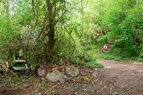 Bill Mortley Photography_A hut used for selling tickets for the Gros Piton Trail - BMP-1754
