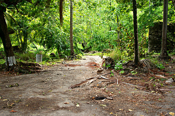 Bill Mortley Photography_The Globe_June 27th, 2023Path leading to the project _BMP-1744