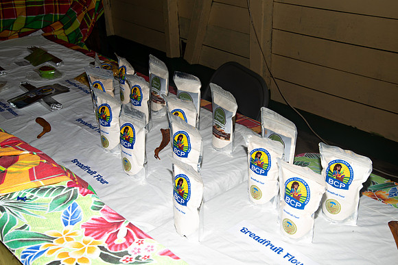 Bill Mortley Photography_Breadfruit Festival_ July 31st, 2022_ BMP-5536