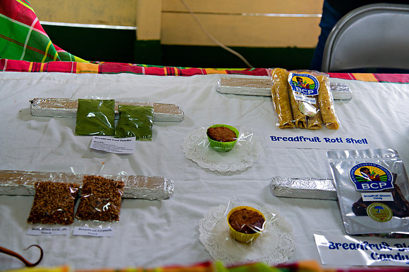 Bill Mortley Photography_Breadfruit Festival_ July 31st, 2022_ BMP-5559