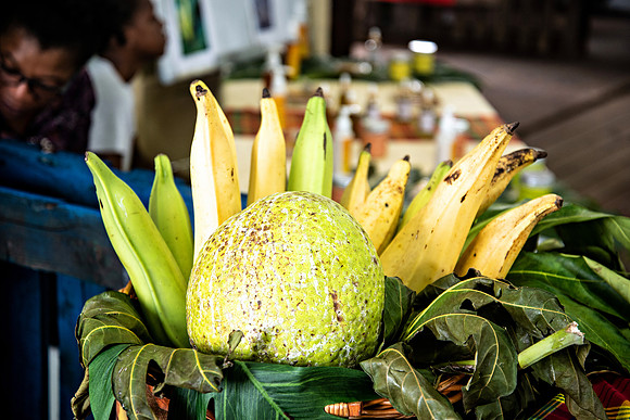 Bill Mortley Photography_Breadfruit Festival_ July 31st, 2022_ BMP-5563