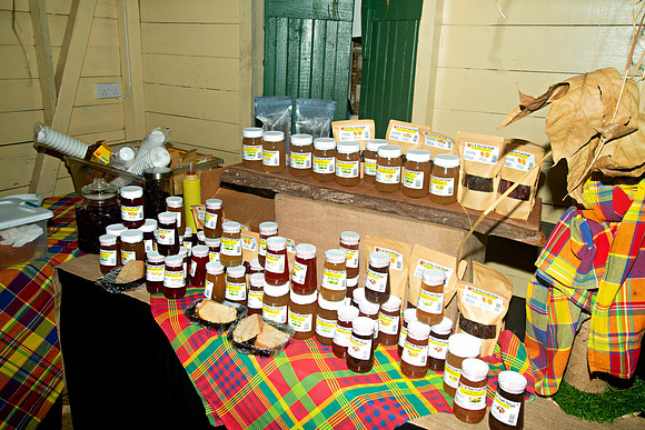 Bill Mortley Photography_Breadfruit Festival_ July 31st, 2022_ BMP-5539
