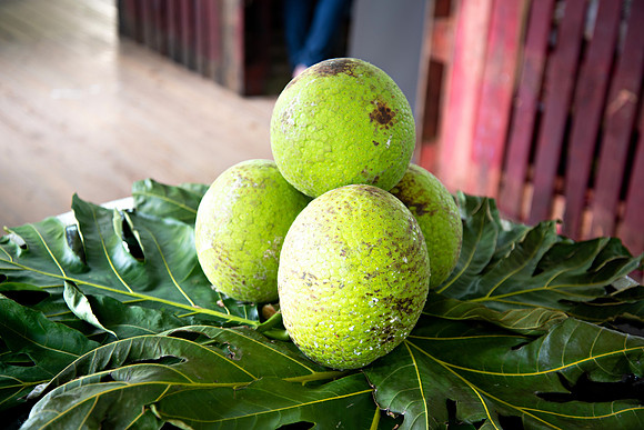 Bill Mortley Photography_Breadfruit Festival_ July 31st, 2022_ BMP-5554