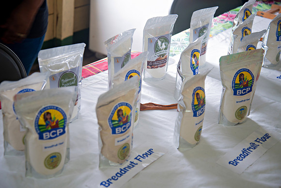 Bill Mortley Photography_Breadfruit Festival_ July 31st, 2022_ BMP-5558