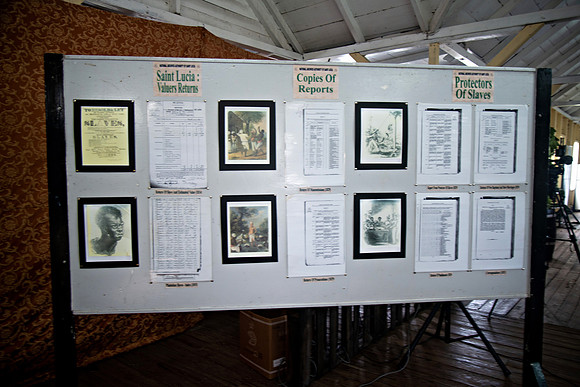 Bill Mortley Photography_Breadfruit Festival_ July 31st, 2022_ BMP-5577