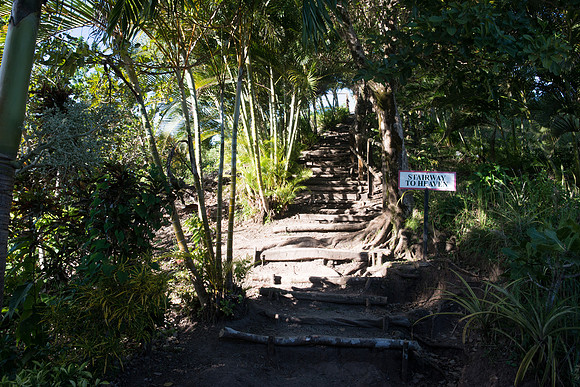Bill Mortley Photography_Tropical Traveller Soufriere Assignment_December 18th, 2018-4085