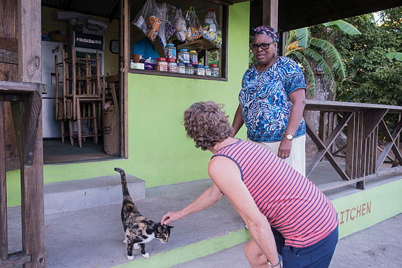 Bill Mortley Photography_Tropical Traveller Soufriere Assignment_December 18th, 2018-4096