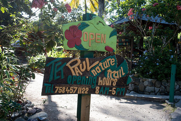 Bill Mortley Photography_Tropical Traveller Soufriere Assignment_December 18th, 2018-4080