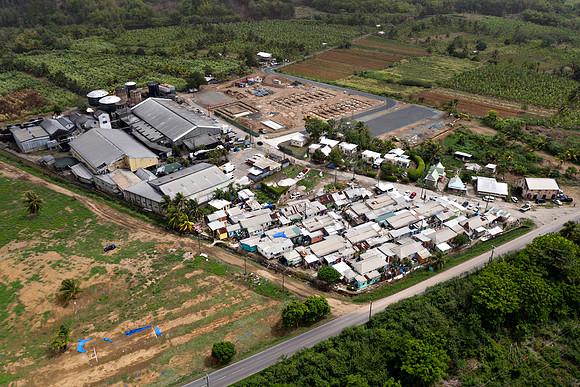 Bill Mortley Photography_Roseau Village_June 21st 2020_WBM_0159