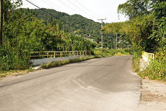 Bill Mortley_Roseau Valley- 04.02.2021_BMP-2735