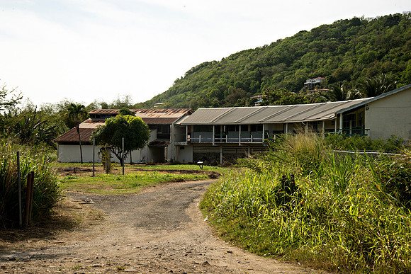 Bill Mortley_Roseau Valley- 04.02.2021_BMP-2733