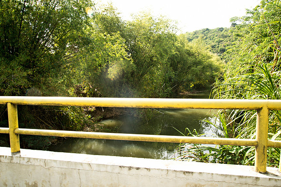Bill Mortley_Roseau Valley- 04.02.2021_BMP-2739