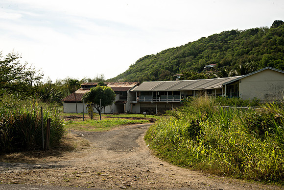 Bill Mortley_Roseau Valley- 04.02.2021_BMP-2734