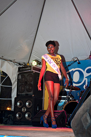 Bill Mortley_Valley Carnival - Marigot Appearance_06.19.2016_-0308