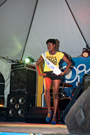 Bill Mortley_Valley Carnival - Marigot Appearance_06.19.2016_-0309
