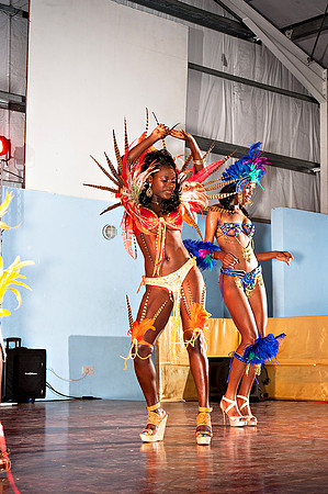 Bill Mortley_Valley Carnival Queen Show _June 20th_2015-4744