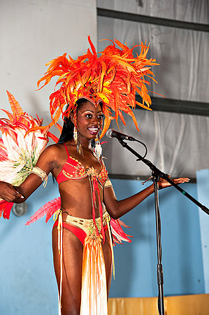 Bill Mortley_Valley Carnival Queen Show _June 20th_2015-4781