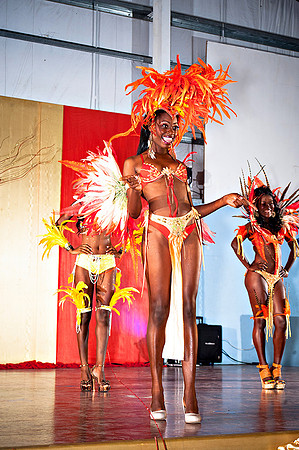 Bill Mortley_Valley Carnival Queen Show _June 20th_2015-4752