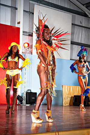 Bill Mortley_Valley Carnival Queen Show _June 20th_2015-4757