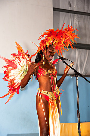 Bill Mortley_Valley Carnival Queen Show _June 20th_2015-4782