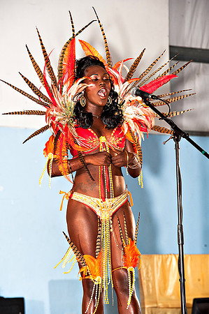 Bill Mortley_Valley Carnival Queen Show _June 20th_2015-4793