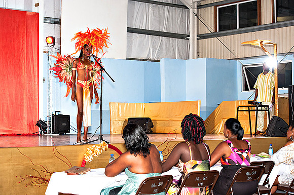 Bill Mortley_Valley Carnival Queen Show _June 20th_2015-4784