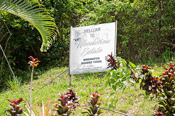 www.billmortleyphotography.com - Woodsview Estate - 6.18.2019_BMP-6259