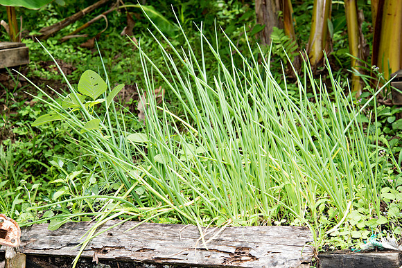 www.billmortleyphotography.com - Woodsview Estate - 6.18.2019_BMP-6264