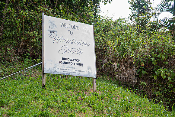 www.billmortleyphotography.com - Woodsview Estate - 6.18.2019_BMP-6258