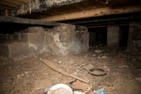 Under the Annex