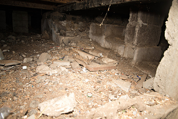 Bill Mortley Photography_07.12.2021_Under the Annex_ BMP_-5827