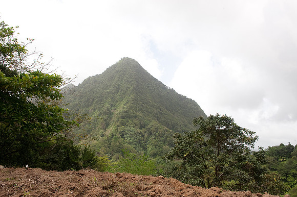 BillMortley_04282010_St. Lucia_  BMP-8754