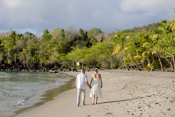 Bill Mortley Photography_Stephanie's Photoshoot_March 26th, 2026_BMP--0214-2