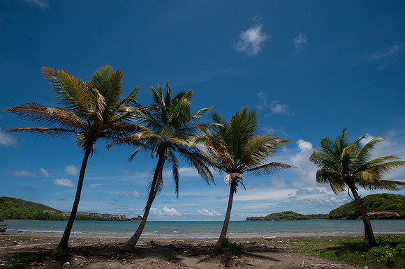 BillMortley_04222010_St. Lucia_  BMP-8641
