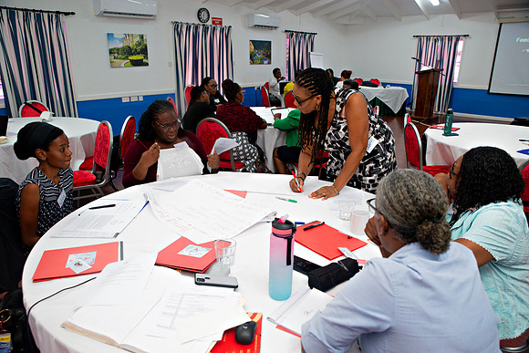 Bill Mortley Photography_FSSP Caribbean- Proposal Writing_April 25th, 2024_BMP-9148
