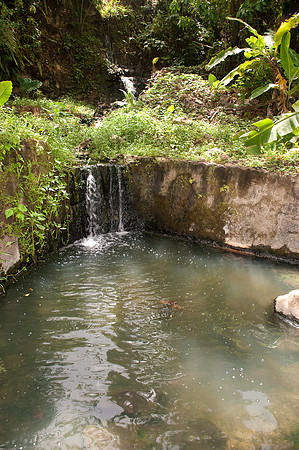 BillMortley_04282010_St. Lucia_  BMP-8718