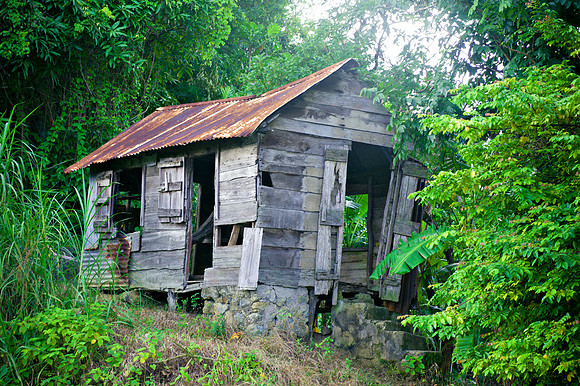 Bill Mortley_St. Lucia - September 20th, 2012-3910