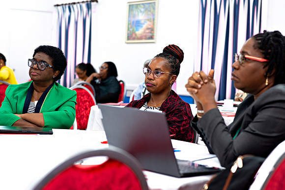 Bill Mortley Photography_FSSP Caribbean- Proposal Writing_April 25th, 2024_BMP-9021