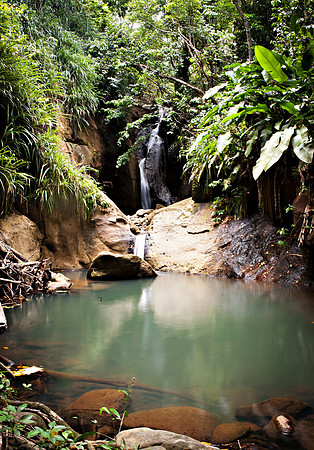 Bill Mortley_St. Lucia - September 13th, 2012_BMP--7