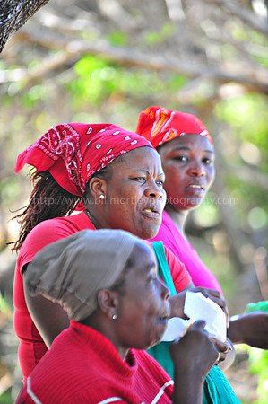 BMP_3091