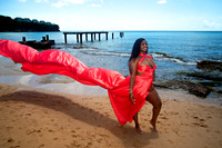 Katrina & Kenneth Flying Dress Photoshoot