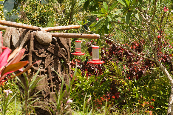 Bill Mortley _Feb. 21st 2011_St. Lucia_BMP-0000266