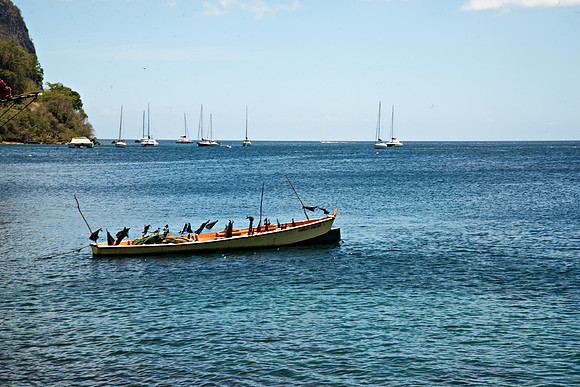 Bill Mortley Photography - Our St Lucia Magazine - APRIL 3 rd_BMP-2385