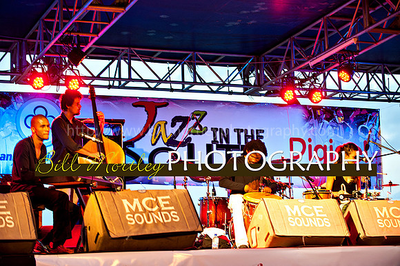 Bill Mortley_Jazz in the South_May 4th, 2014-8592