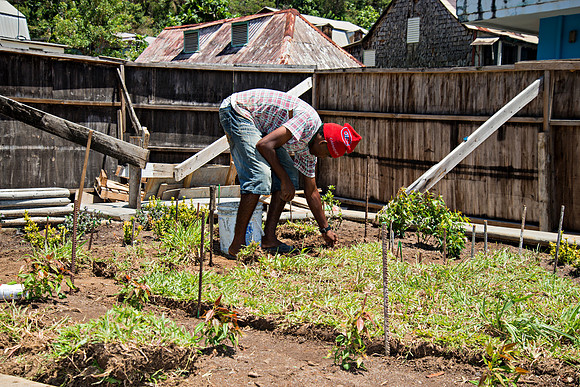 Bill Mortley Photography - Our St Lucia Magazine - APRIL 3 rd_BMP-2362