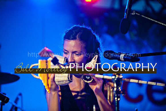 Bill Mortley_Jazz in the South_May 4th, 2014-8636